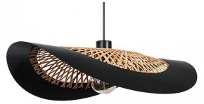 Подвесной светильник Arte Lamp Woodstock A7059SP-1BK в Уфе - ufa.ok-mebel.com | фото