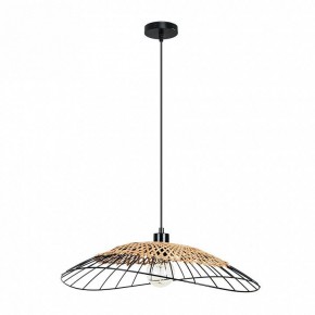 Подвесной светильник Arte Lamp Woodstock A7061SP-1BK в Уфе - ufa.ok-mebel.com | фото 2