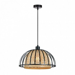Подвесной светильник Arte Lamp Woodstock A7071SP-1BK в Уфе - ufa.ok-mebel.com | фото