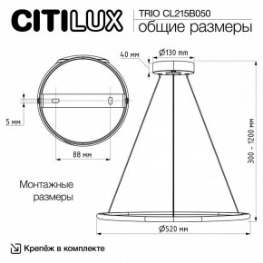 Подвесной светильник Citilux Trio CL215B050 в Уфе - ufa.ok-mebel.com | фото 9