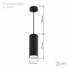 Подвесной светильник Эра  PL12 GX53 BK/SL в Уфе - ufa.ok-mebel.com | фото 8