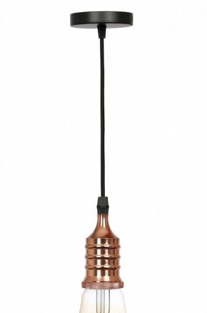 Подвесной светильник Эра PL13 Б0048525 в Уфе - ufa.ok-mebel.com | фото 3