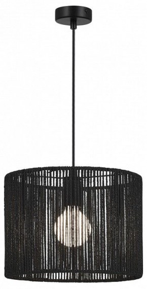 Подвесной светильник EVOLUCE ETTAN SLE6024-403-01 в Уфе - ufa.ok-mebel.com | фото 2