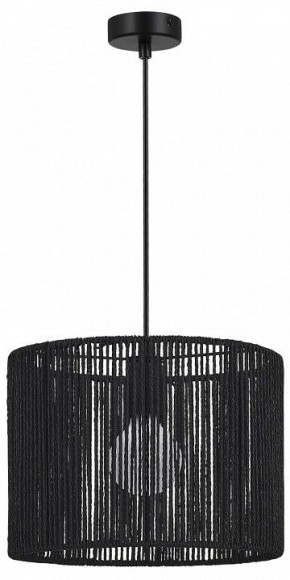 Подвесной светильник EVOLUCE ETTAN SLE6024-403-01 в Уфе - ufa.ok-mebel.com | фото 4