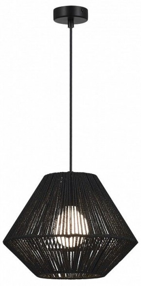 Подвесной светильник EVOLUCE ETTAN SLE6025-403-01 в Уфе - ufa.ok-mebel.com | фото 2