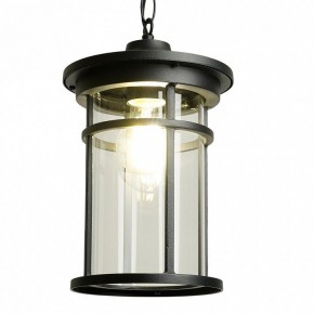 Подвесной светильник Feron PL765 51819 в Уфе - ufa.ok-mebel.com | фото 3