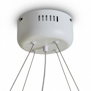 Подвесной светильник Freya Rain FR5546PL-L60W в Уфе - ufa.ok-mebel.com | фото 9