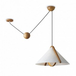 Подвесной светильник Freya Umbra FR5554CL-01T в Уфе - ufa.ok-mebel.com | фото 2