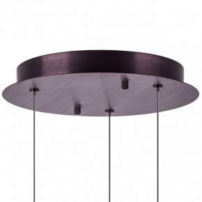 Подвесной светильник Lightstar Caramello 796139 в Уфе - ufa.ok-mebel.com | фото 13