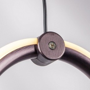 Подвесной светильник Lightstar Caramello 796229 в Уфе - ufa.ok-mebel.com | фото 10