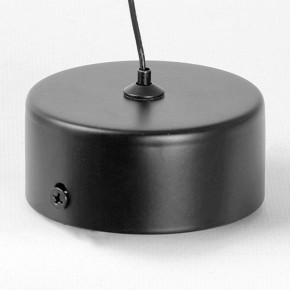 Подвесной светильник Lussole Blount LSP-7356 в Уфе - ufa.ok-mebel.com | фото 6