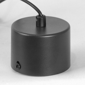 Подвесной светильник Lussole Milam LSP-7450 в Уфе - ufa.ok-mebel.com | фото 7