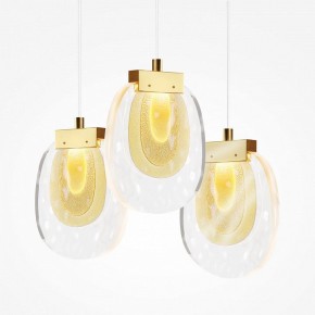 Подвесной светильник Maytoni Biology MOD367PL-L30BBSK в Уфе - ufa.ok-mebel.com | фото 6