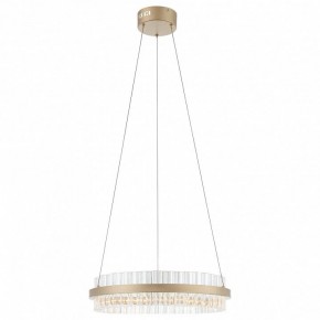 Подвесной светильник ST-Luce Cherio SL383.203.01 в Уфе - ufa.ok-mebel.com | фото 3
