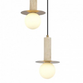 Подвесной светильник ST-Luce Earthy SL1194.303.03 в Уфе - ufa.ok-mebel.com | фото 4