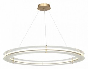 Подвесной светильник ST-Luce FAGY SL6245.213.01 в Уфе - ufa.ok-mebel.com | фото 4