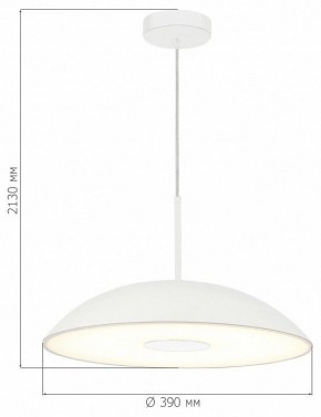 Подвесной светильник ST-Luce Lido SL6128.503.01 в Уфе - ufa.ok-mebel.com | фото 4