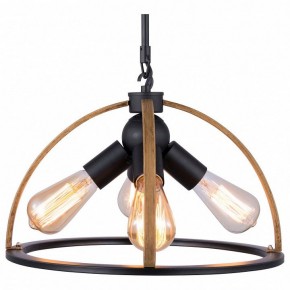 Подвесной светильник TopLight Jasmin TL1179H-04BK в Уфе - ufa.ok-mebel.com | фото