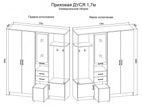 Прихожая Дуся 1.7 УНИ (Дуб Бунратти/Белый Бриллиант) в Уфе - ufa.ok-mebel.com | фото 2