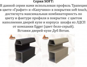 Шкаф-купе 1600 серии SOFT D1+D3+B2+PL1 (2 ящика+1штанга) профиль «Графит» в Уфе - ufa.ok-mebel.com | фото 11