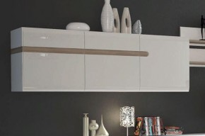 Шкаф навесной 3D/TYP 67, LINATE ,цвет белый/сонома трюфель в Уфе - ufa.ok-mebel.com | фото 3