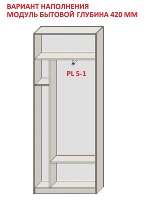 Шкаф распашной серия «ЗЕВС» (PL3/С1/PL2) в Уфе - ufa.ok-mebel.com | фото 4