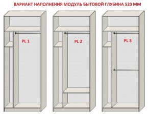 Шкаф распашной серия «ЗЕВС» (PL3/С1/PL2) Серый камень/Небраска натуральный в Уфе - ufa.ok-mebel.com | фото 5