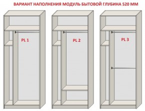 Шкаф распашной серия «ЗЕВС» (PL3/С1/PL2) в Уфе - ufa.ok-mebel.com | фото 5