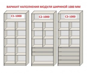 Шкаф распашной серия «ЗЕВС» (PL3/С1/PL2) в Уфе - ufa.ok-mebel.com | фото 7