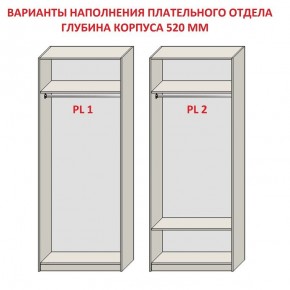 Шкаф распашной серия «ЗЕВС» (PL3/С1/PL2) в Уфе - ufa.ok-mebel.com | фото 9