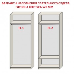 Шкаф распашной серия «ЗЕВС» (PL3/С1/PL2) Серый камень/Небраска натуральный в Уфе - ufa.ok-mebel.com | фото 9