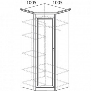 Шкаф угловой №662 "Флоренция" Фасад глухой (угол 1005*1005) Дуб оксфорд в Уфе - ufa.ok-mebel.com | фото 3