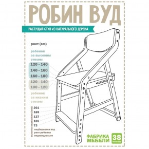 Стул растущий «Робин Wood» с чехлом 38 Попугаев (Выбеленное дерево, Салют) в Уфе - ufa.ok-mebel.com | фото 3