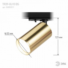 Светильник на штанге Эра  TR39-GU10 BS в Уфе - ufa.ok-mebel.com | фото 6