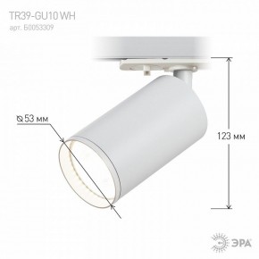 Светильник на штанге Эра  TR39-GU10 WH в Уфе - ufa.ok-mebel.com | фото 7