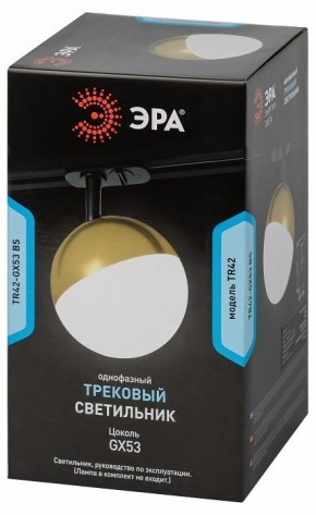 Светильник на штанге Эра  TR42-GX53 BS в Уфе - ufa.ok-mebel.com | фото 6