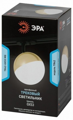 Светильник на штанге Эра  TR42-GX53 MG в Уфе - ufa.ok-mebel.com | фото 6