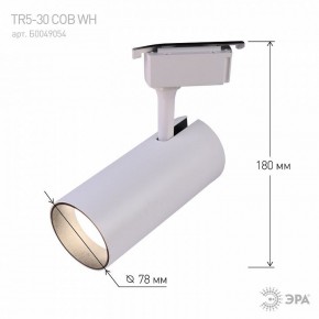 Светильник на штанге Эра  TR5-30 COB WH в Уфе - ufa.ok-mebel.com | фото 6