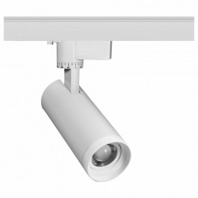 Светильник на штанге Эра  TR59 - 2030 WH в Уфе - ufa.ok-mebel.com | фото