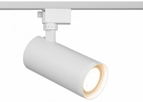 Светильник на штанге Эра  TR59 - 3030 WH в Уфе - ufa.ok-mebel.com | фото