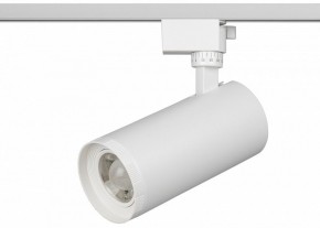 Светильник на штанге Эра  TR59 - 3030 WH в Уфе - ufa.ok-mebel.com | фото 2