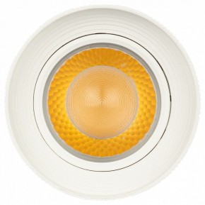 Светильник на штанге Эра  TR59 - 3030 WH в Уфе - ufa.ok-mebel.com | фото 3