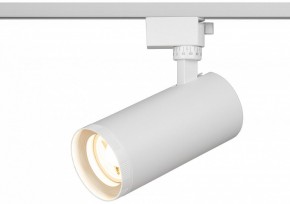 Светильник на штанге Эра  TR59 - 3030 WH в Уфе - ufa.ok-mebel.com | фото 5