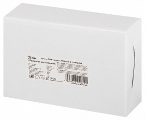 Светильник на штанге Эра  TRM-S5-3-12W4K-BK в Уфе - ufa.ok-mebel.com | фото 8