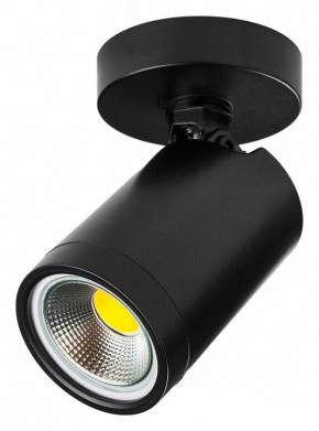Светильник на штанге Lightstar Rullo 213407 в Уфе - ufa.ok-mebel.com | фото