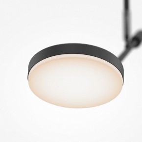 Светильник на штанге Maytoni Fad MOD070CL-L8B3K в Уфе - ufa.ok-mebel.com | фото 4