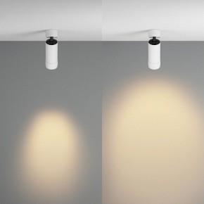 Светильник на штанге Maytoni Focus Zoom C055CL-L12W2.7K-Z-W в Уфе - ufa.ok-mebel.com | фото 3