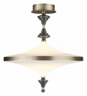 Светильник на штанге Odeon Light Ula 5404/43CL в Уфе - ufa.ok-mebel.com | фото 2