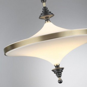 Светильник на штанге Odeon Light Ula 5404/43CL в Уфе - ufa.ok-mebel.com | фото 6