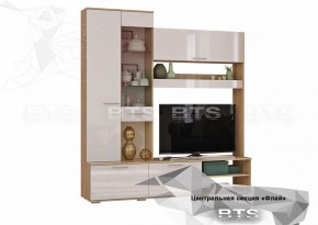 ФЛАЙ Центральная секция ЦС-01 (дуб сонома/белый) в Уфе - ufa.ok-mebel.com | фото 2